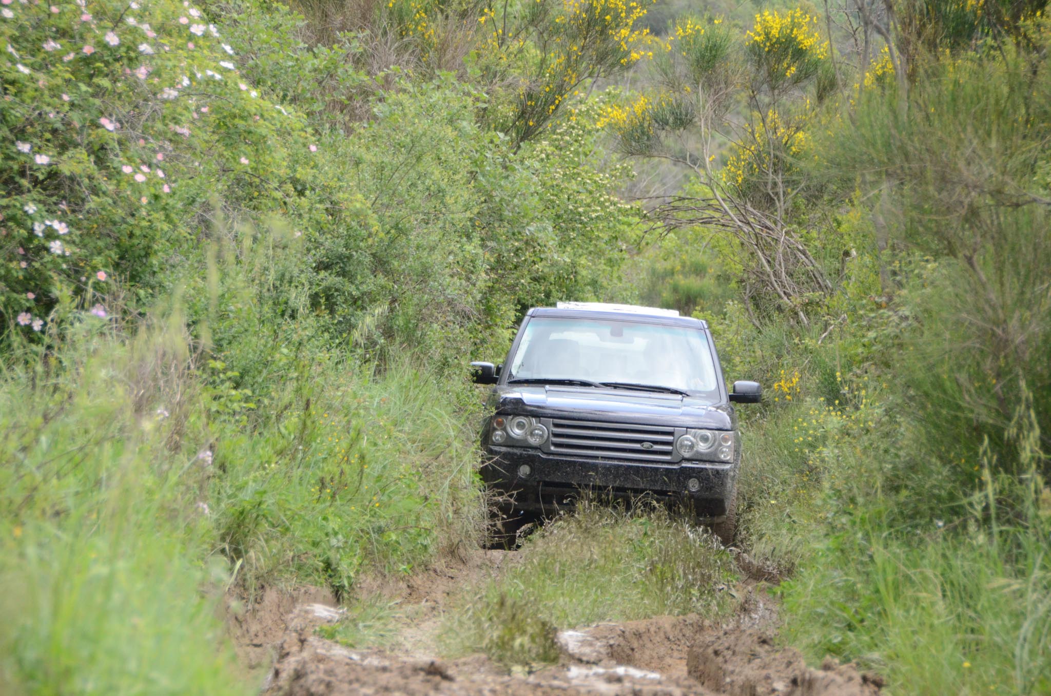Land_Rover_Day_Toscana_2023_Domenica_0-11